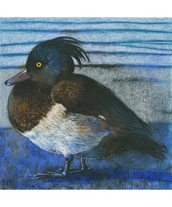 Loes Botman, Tufted Duck