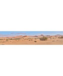 Peter Hillert, Sossusvlei Desert Namib