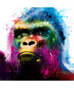 Patrice Murciano, Gorilla