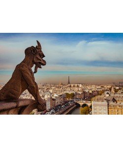 Arnaud Bertrande, Vue sur Paris depuis Notre Dame