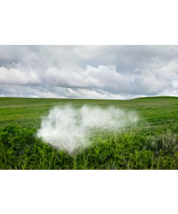 Miguel Vallinas Prieto, Pause Número XII