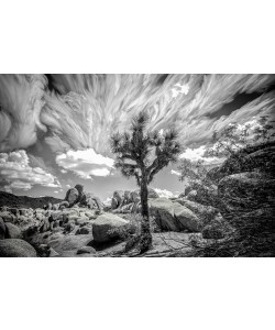 Ryan Hartson-Weddle, Three Hour Wind
