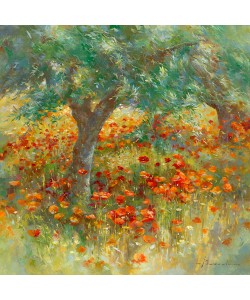 Johan Messely, Les coquelicots