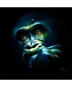 Patrice Murciano, Black Kong