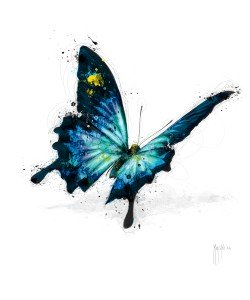 Patrice Murciano, POPillon Blue