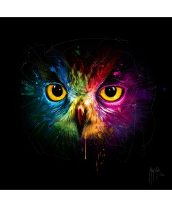 Patrice Murciano, POP Owl