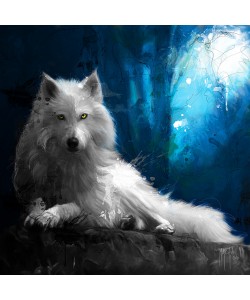 Patrice Murciano, Cheyenne La Loup Blanc