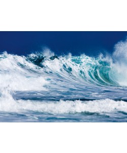 Wim Westfield, North Shore