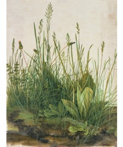 Albrecht Dürer, Das große Rasenstück