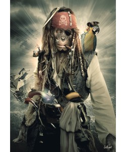 Sylvain Binet, Primates des Caraibes