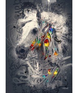 Sylvain Binet, Cheval Pop