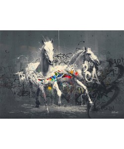 Sylvain Binet, Chevaux Pop