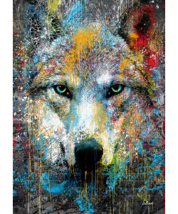 Sylvain Binet, Loup Pop