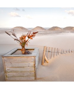 Georges-Félix Cohen, La magie des dunes