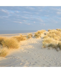 Georges-Félix Cohen, Les Dunes V