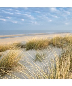 Georges-Félix Cohen, Les Dunes VI