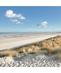 Georges-Félix Cohen, Les Dunes VIII