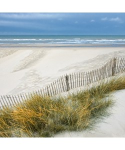 Georges-Félix Cohen, Les Dunes IX