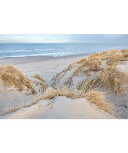 Georges-Félix Cohen, Les dunes - pastel