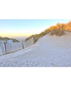 Georges-Félix Cohen, Les dunes XI