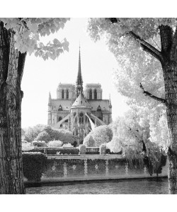 Dave Butcher, France Paris Notre-Dame