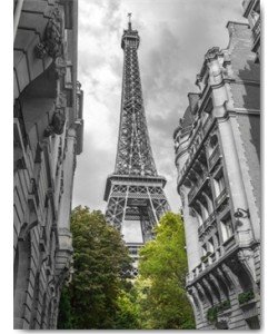 Assaf Frank, Paris my Love