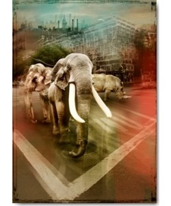 André Sanchez, Zoo City - Elephants