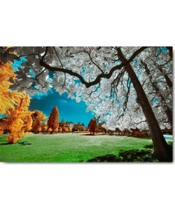 Tonee Gee, Bordeaux, Jardin Public