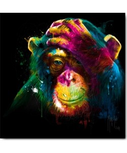 Patrice Murciano, The Darwin’s Preoccupations