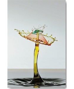 Manuel Sanchez, Le carousel