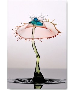 Manuel Sanchez, Ubrella Crown