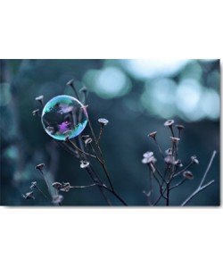 Gaelle Strohmenger, Fragile Perle