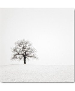 Uwe Steger, Wintersturm II