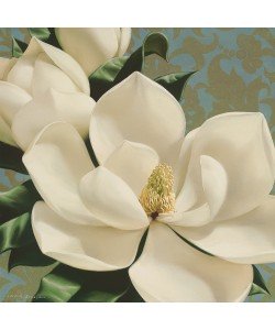 Igor Levashov, Dolce Magnolia