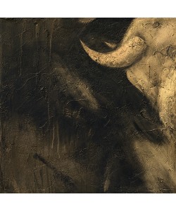 Inna Panasenko, Toros V