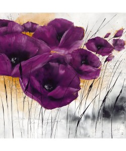 Isabelle Zacher-Finet, Pavot violet IV