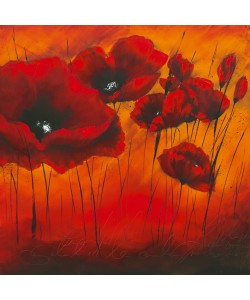 Isabelle Zacher-Finet, Quand lamour fleurit II