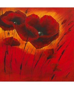 Isabelle Zacher-Finet, Quand lamour fleurit I