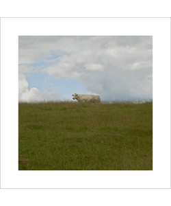 Jacky LECOUTURIER, Prairie, 2007