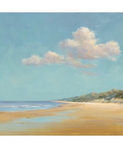 Jan Groenhart, Aan de Noordzee