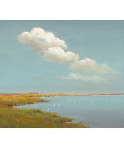 Jan Groenhart, Birds and Clouds