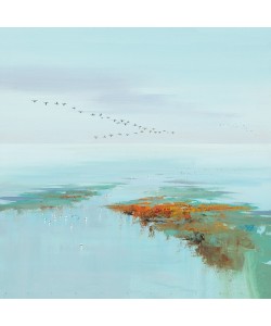Jan Groenhart, Flying Birds