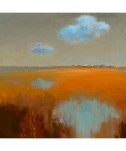Jan Groenhart, Reflecting Clouds