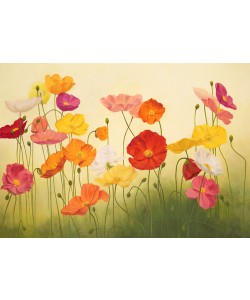 Janelle Kroner, Sunlit Poppies