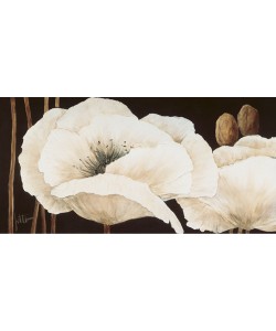 Jettie Roseboom, Amazing Poppies III