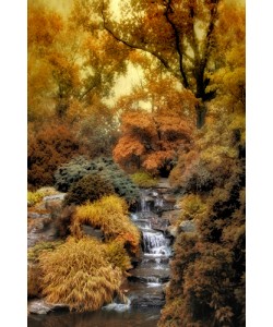 Jessica Jenny, Japanese Rock Garden