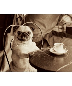 Jim Dratfield, Cafe Pug