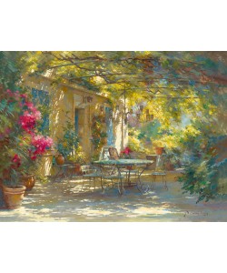 Johan Messely, Ambiance dt