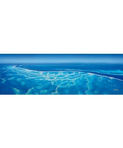 John Xiong, Great Barrier Reef III