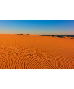 John Xiong, Myall Lakes Dunes